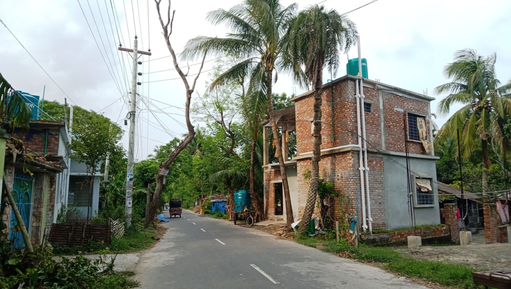 দেবহাটার রাস্তার পাশে শুকনো গাছ, প্রাণ ঝুঁকিতে পথচারীরা