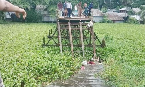 সেতু ভেঙে খালে বরযাত্রীবাহী গাড়ি, নিহত ১০