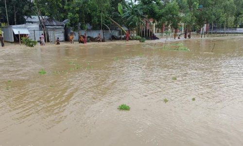 নালিতাবাড়ীতে পাহাড়ি ঢলে লোকালয় প্লাবিত