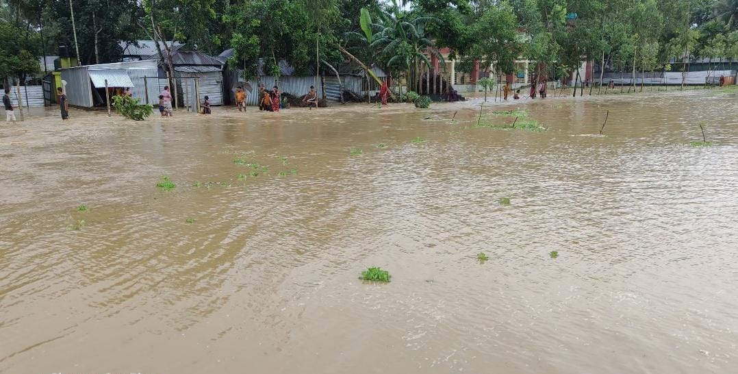 নালিতাবাড়ীতে পাহাড়ি ঢলে লোকালয় প্লাবিত