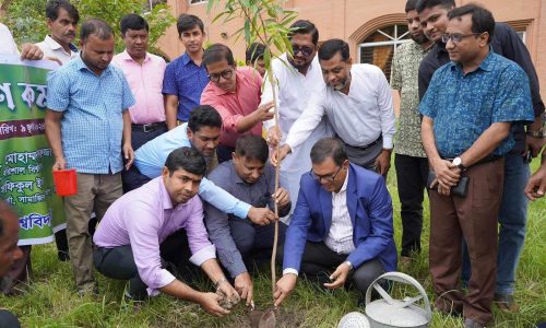 ক্যাম্পাস সবুজায়নের লক্ষে ২হাজার গাছ লাগাচ্ছে ববি প্রশাসন 